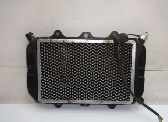Radiator Suzuki GSX 400 X Impulse