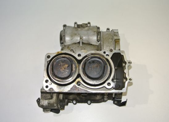 Zylinder BMW F 800