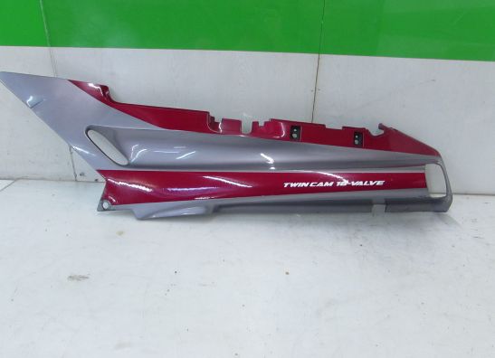 Heck links Kawasaki ZZR 1100