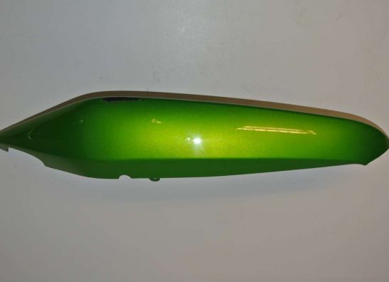 Heck links Kawasaki ER 6