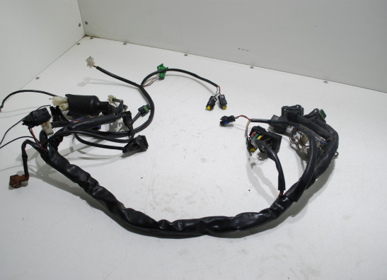 Kabelboom Aprilia Caponord 1000