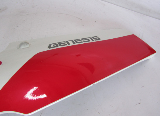 Linker achterkant Yamaha FZR 600