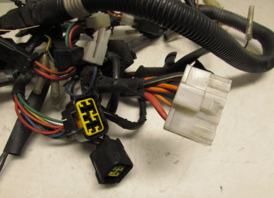 Kabelboom Suzuki GSX F 600