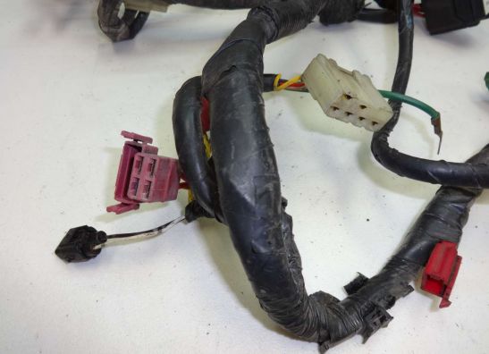 Wire Harness Honda ST 1100 Pan European