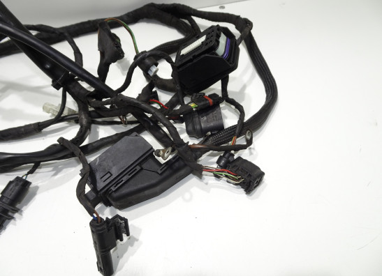 Kabelboom BMW F 800 R