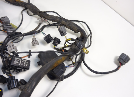 Kabelbaum Kawasaki Z 750