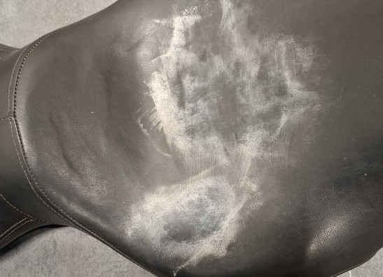 Zadel Harley Davidson Softtail