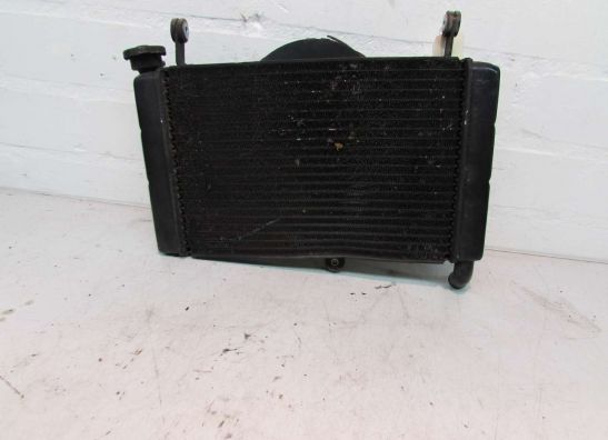 Radiateur Yamaha YZF 600 Thundercat