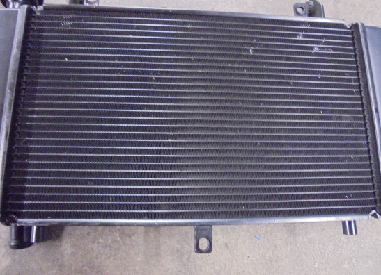 Radiateur Benelli TRK 702