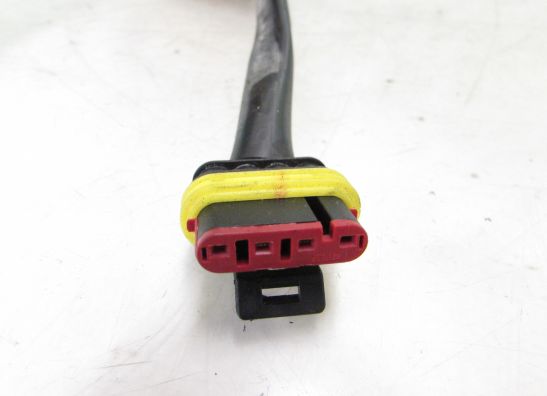 Wire harness front Ducati ST4