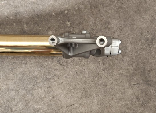 Standrohr Gabelholm links komplett Ducati Multistrada 1200