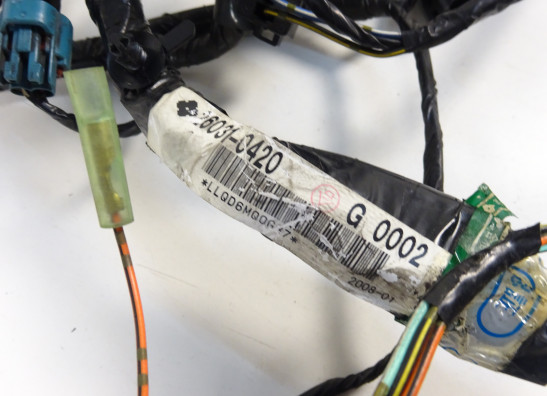 Wire Harness Kawasaki ER 6