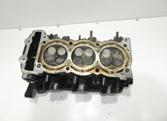 Zylinderkopf Triumph Tiger 900