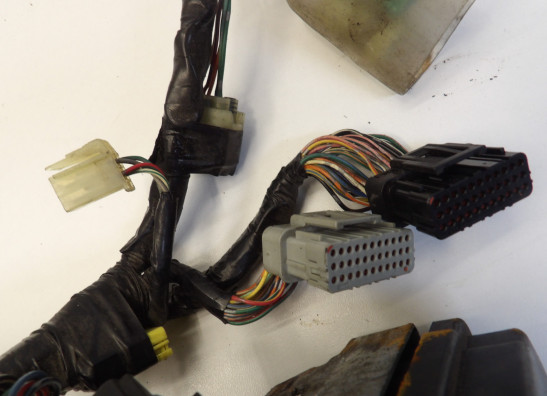 Kabelboom Honda CBF 1000