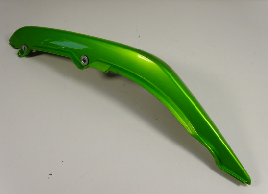 Heck links Kawasaki ER 6