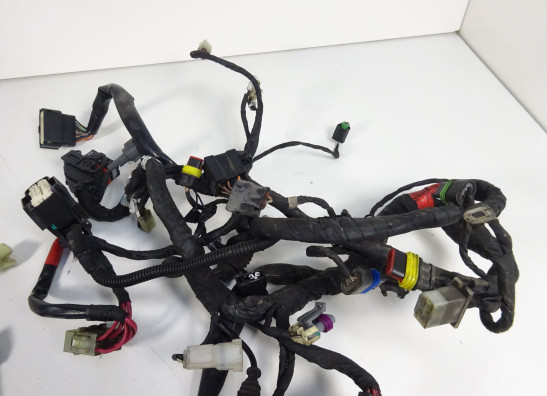 Kabelboom Ducati monster 1100