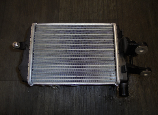 Radiateur BMW R 1250 GS 2021-2022