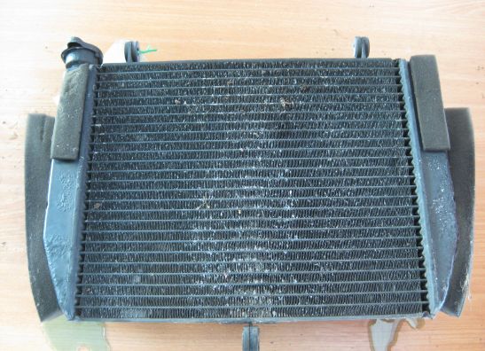 Radiator Yamaha YZF R6