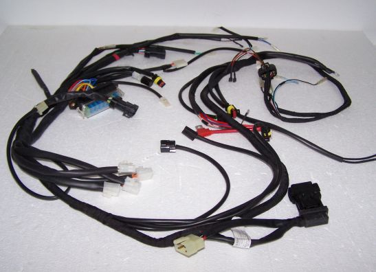 Kabelbaum Voxan Cafe Racer