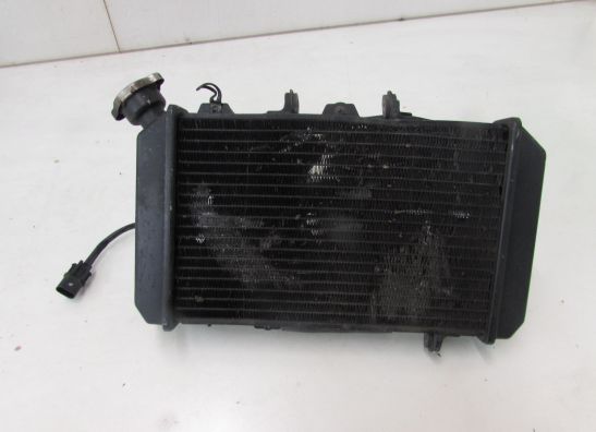 Radiateur Hyosung Comet 650