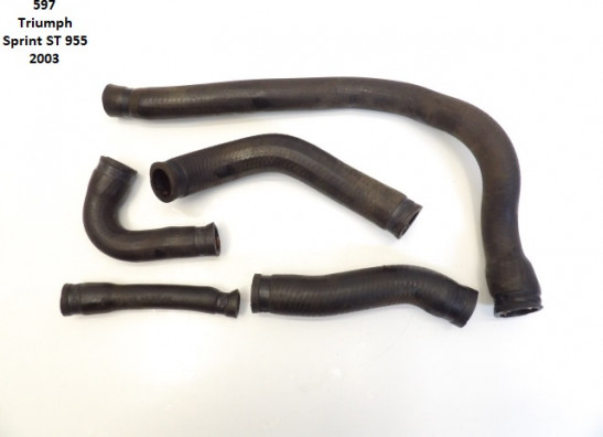 Radiator toebehoren Triumph Sprint ST 955