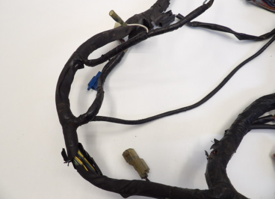 Kabelboom Yamaha FJR 1300