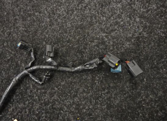 Wire Harness Yamaha YZF R6