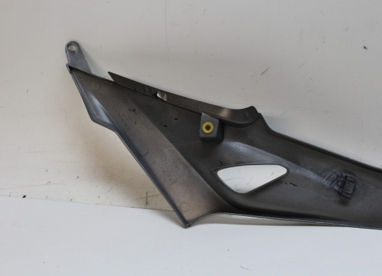 Tankcover BMW S 1000 R