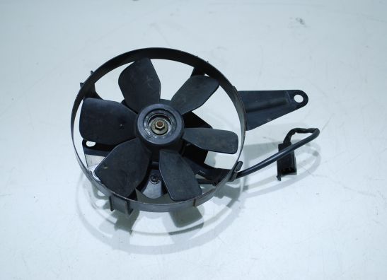 Fan Yamaha GTS 1000