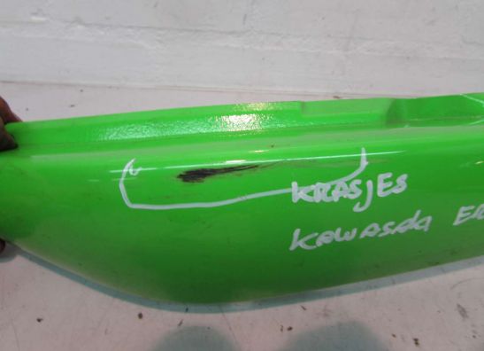 Heck rechts Kawasaki ER 6