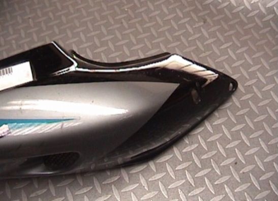 Heck rechts Kawasaki ZX 9 R