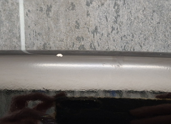 Sport rack Rewaco RF1