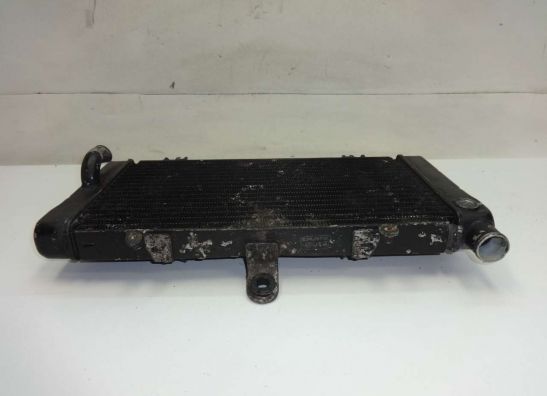 Radiator Honda CBR 1000 F