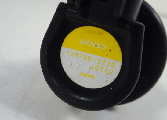 Bobine Triumph Tiger 1050