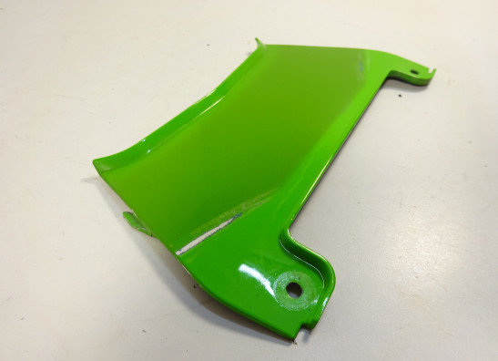 Heck Kawasaki ZX 10 R