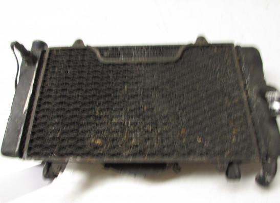 Radiator Honda CBR 1000 F