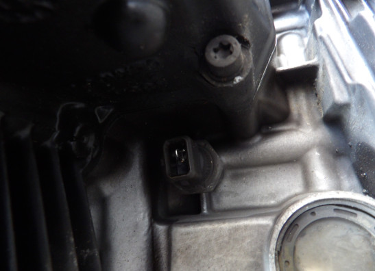 Motorblock BMW R 1200 GS