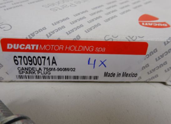 Bobine Ducati monster 900