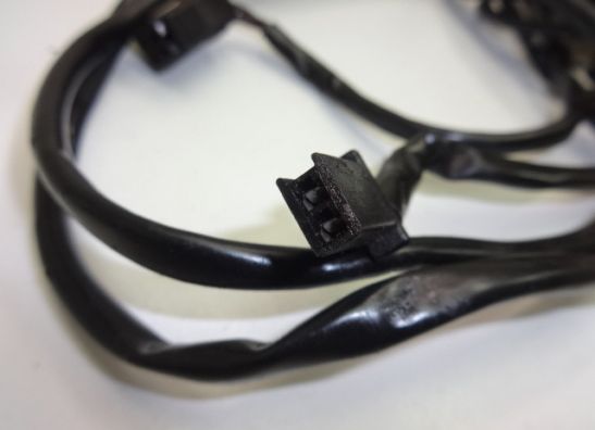 Dynamo Kawasaki ZZR 250