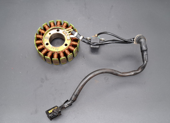 Dynamo Royal Enfield Interceptor 650