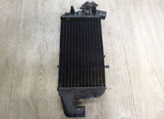 Radiateur BMW K 1200 LT