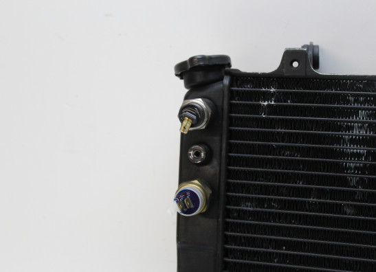 Radiateur Yamaha FZR 750 R OWO1