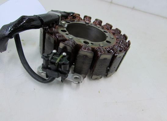 Dynamo Suzuki TL 1000