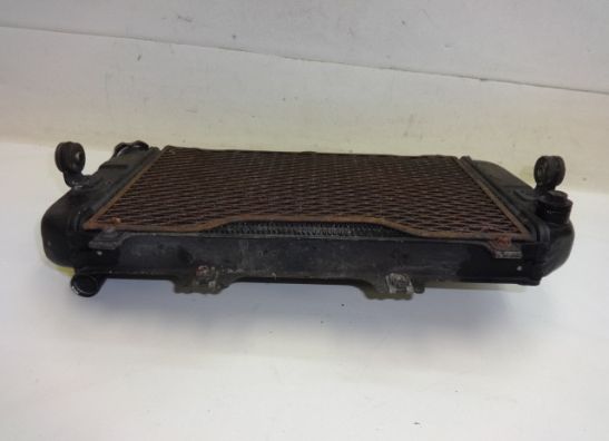 Radiator Yamaha TDM