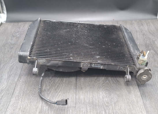 Kuhler Yamaha YZF R1