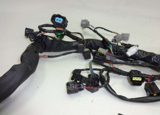 Kabelboom Kawasaki ZX 6 R