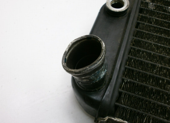 Kuhler Kawasaki GTR 1000