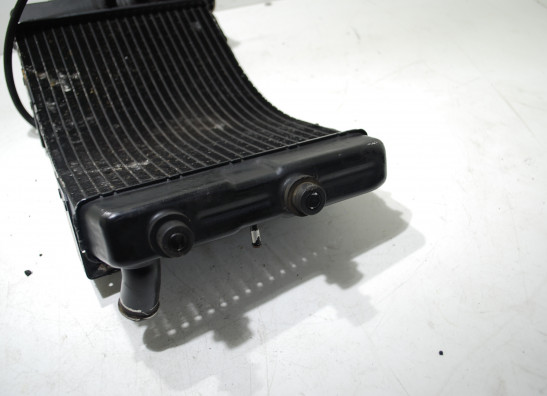 Radiator Yamaha GTS 1000
