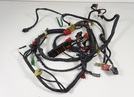 Kabelboom Honda CBR 1000 F