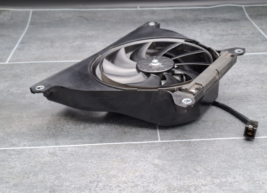 Fan Kawasaki Z 650